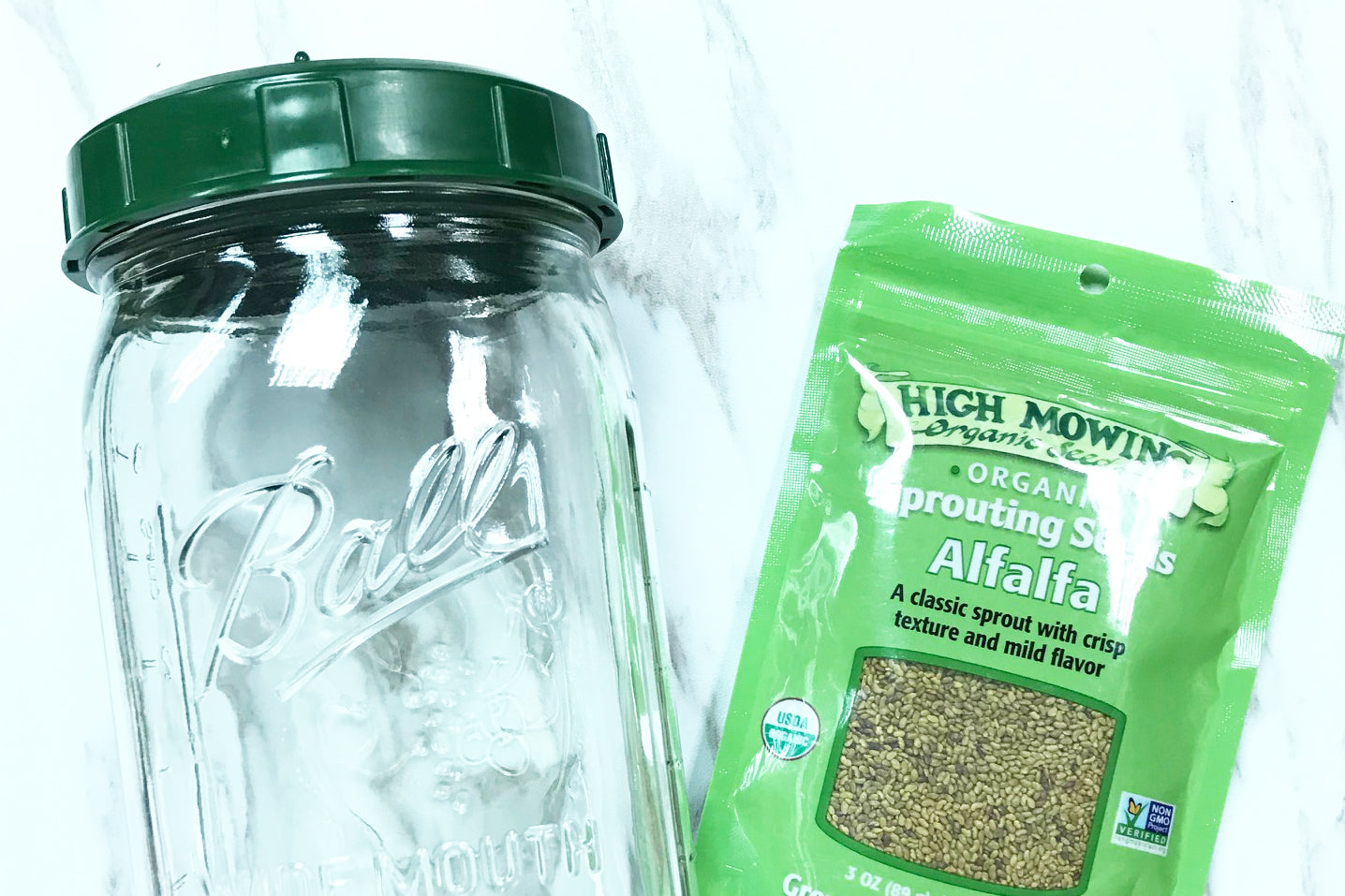 Sprouting Seeds in Jar | Alfalfa seeds