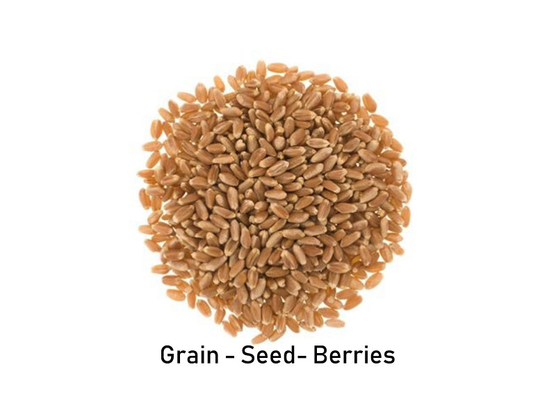 
    Grain | Wheat Berries | Miller
  