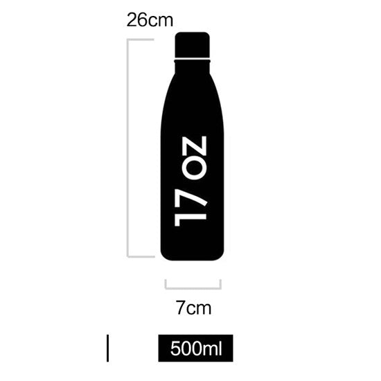 Stainless Steel Water Bottle 500ml (17oz)