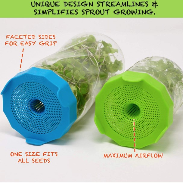 Sprouting Seeds Mason Lid 2 pieces set