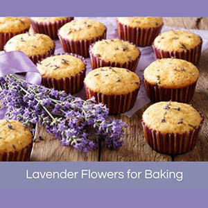 Organic Lavender - Dried Edible Flower