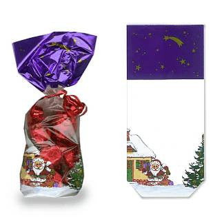 Christmas & Santa Cookie bag 100 x 220mm