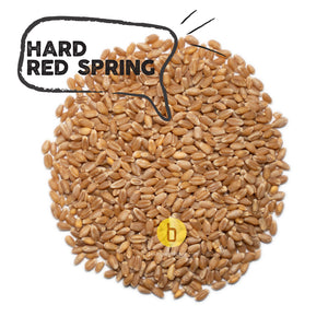 Hard Red Spring Wheat berries 22oz