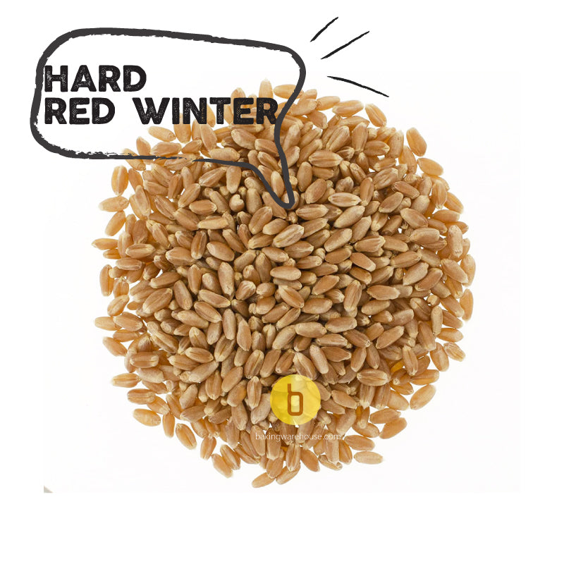 Hard Red Winter Wheat berries 22oz