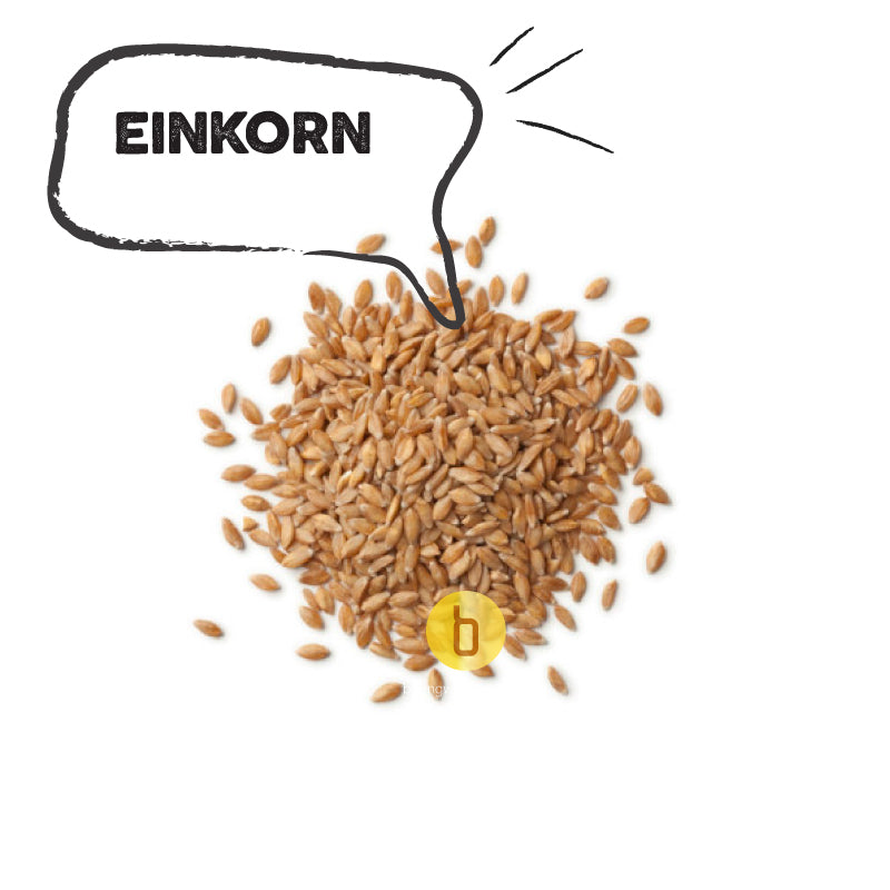 Organic EinKorn wheat berries 22oz
