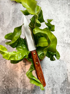 Norgent paring knife | Bakingwarehouse
