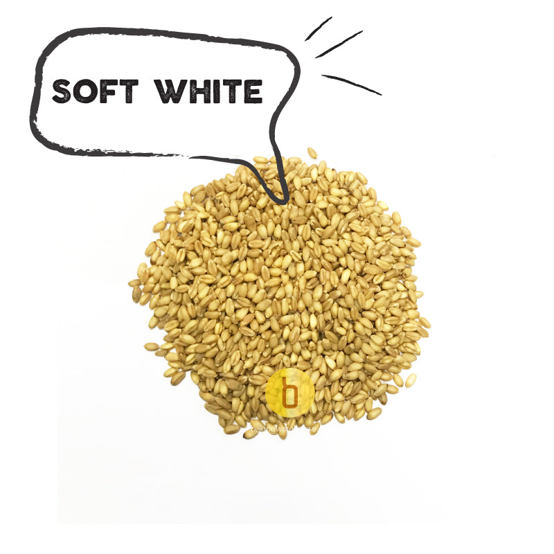 Soft White Wheat berries 22oz